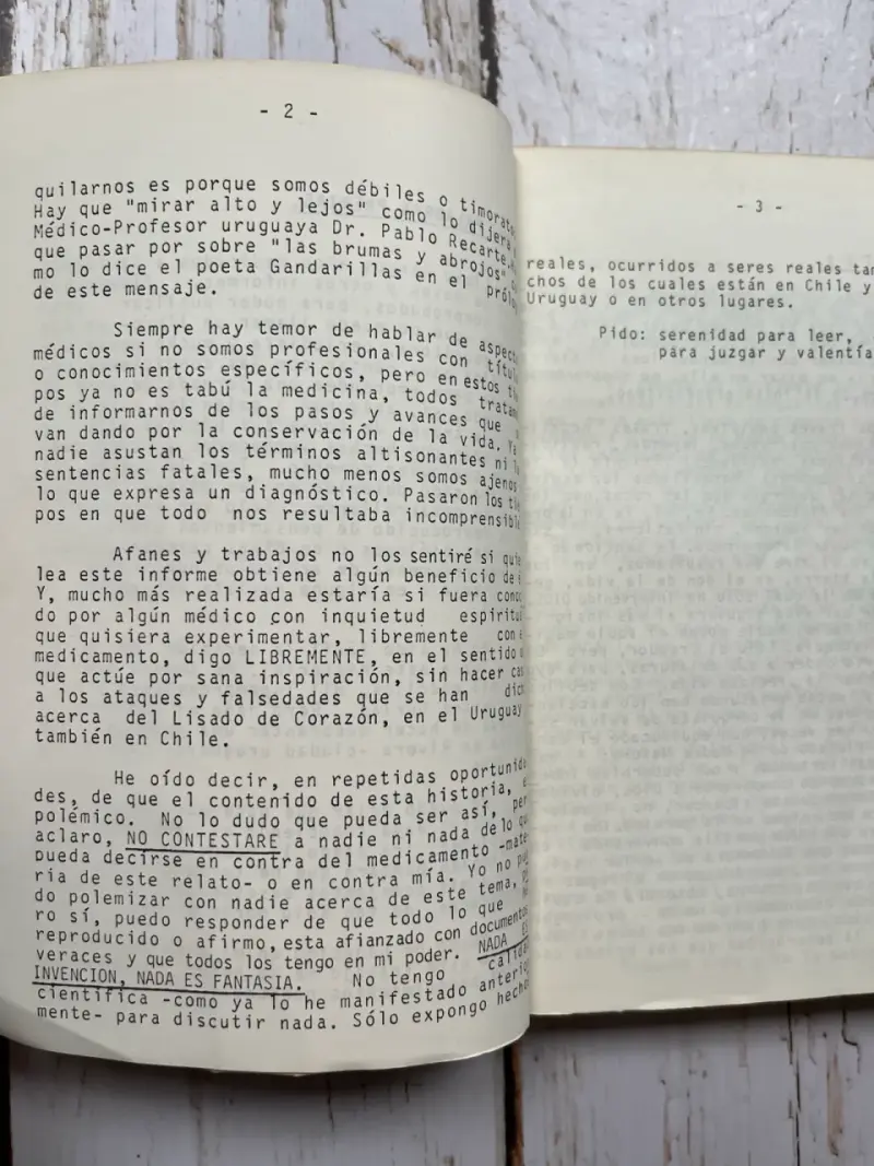 Libro 'La Batalla Silenciosa' de Ilda Luz - 5