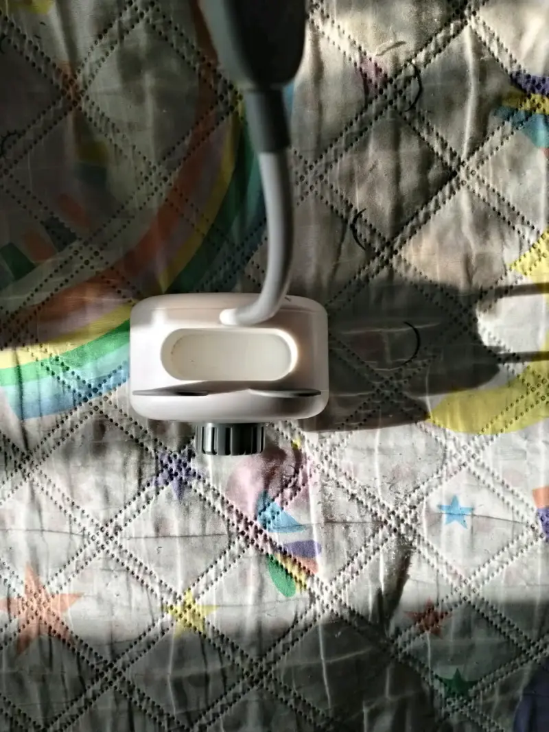 Portalapices y sacapuntas con luz diseño de oso - 3