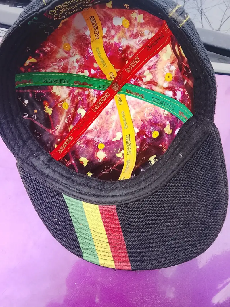 🧢 Gorra Grassroots California × Dabskin - Edición - 3