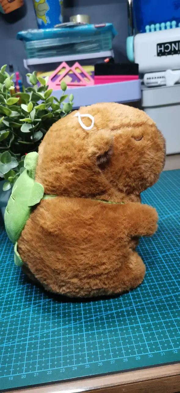 Peluche Capibara con luces y sonido Tortuga - 2