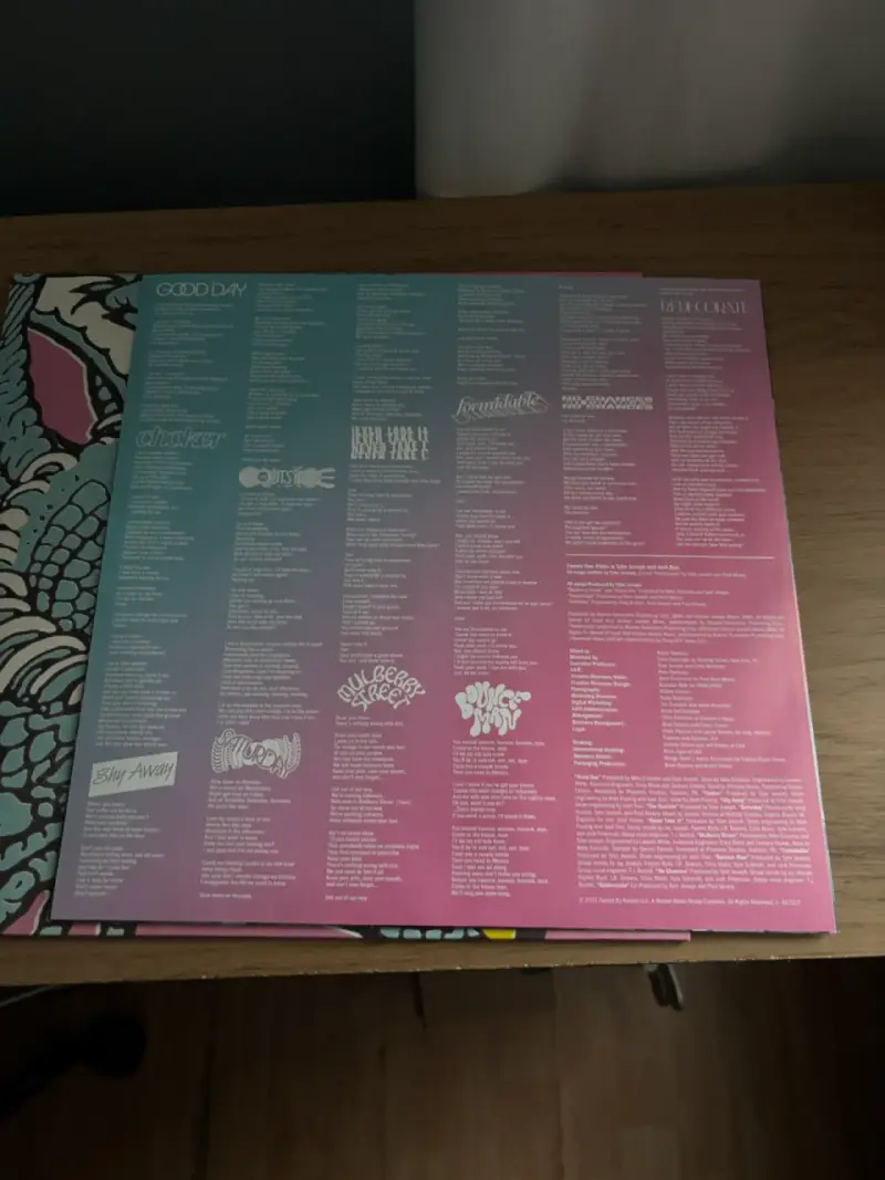 Vinilo Twenty One Pilots Scaled and Icy - 2