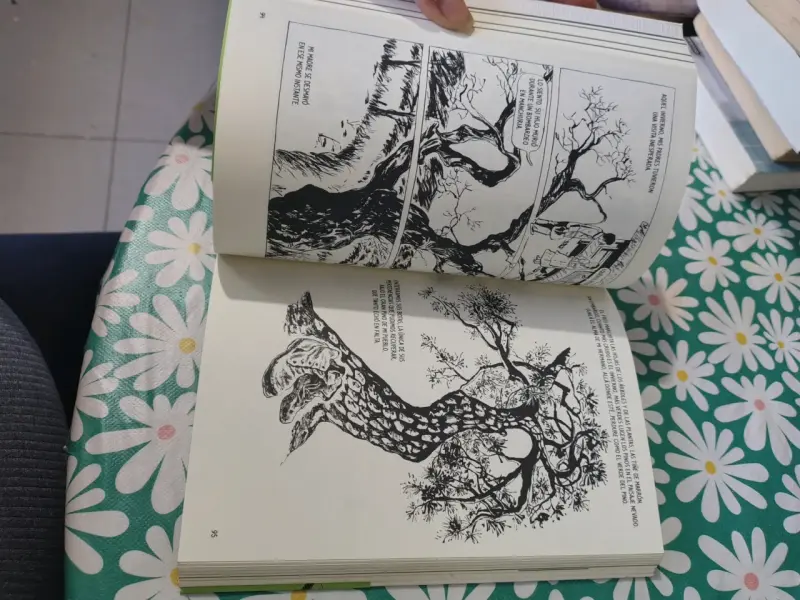 Libro 'La Espera' de Keum Suk Gendry-Kim - 6