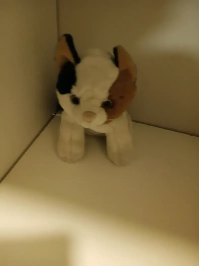 Peluche oso verde con trébol - 2
