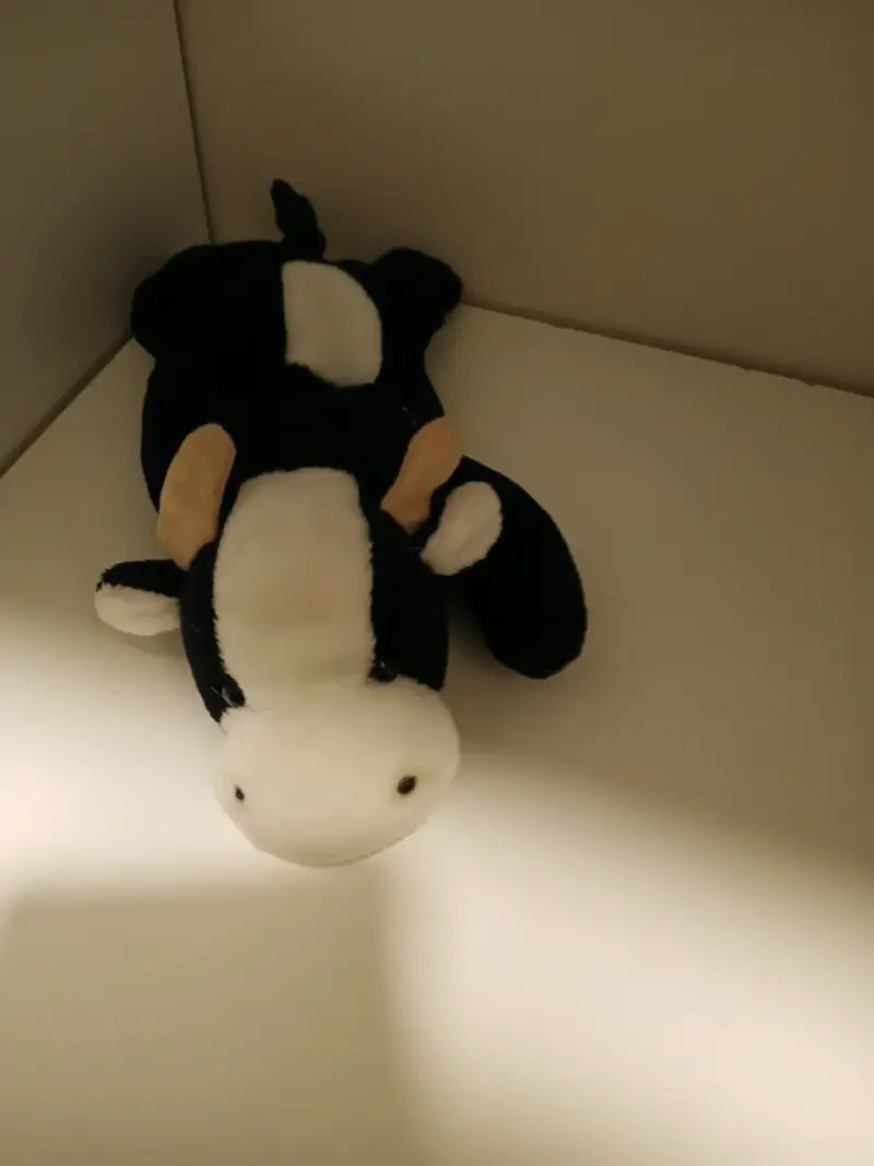 Peluche oso verde con trébol - 6