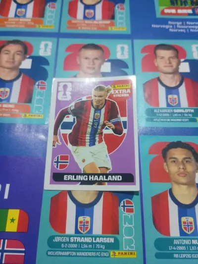 Lámina Panini Erling Haaland Mundial 2022 - miniatura 2