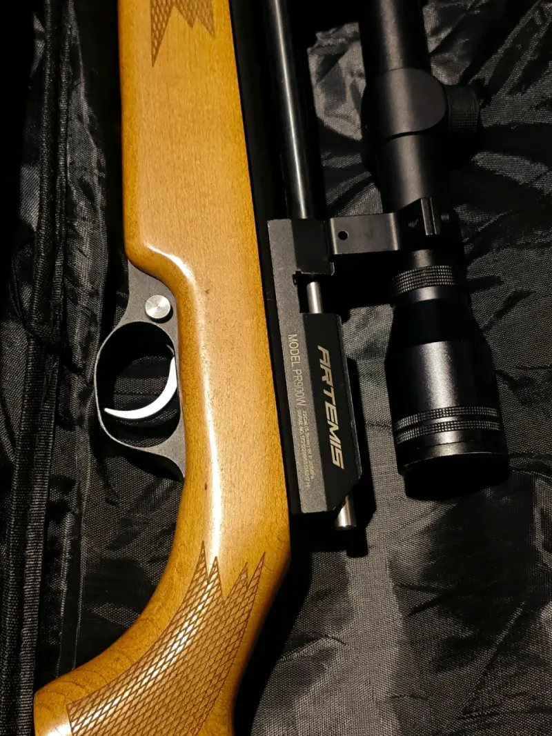 Rifle pcp pr900 - 3