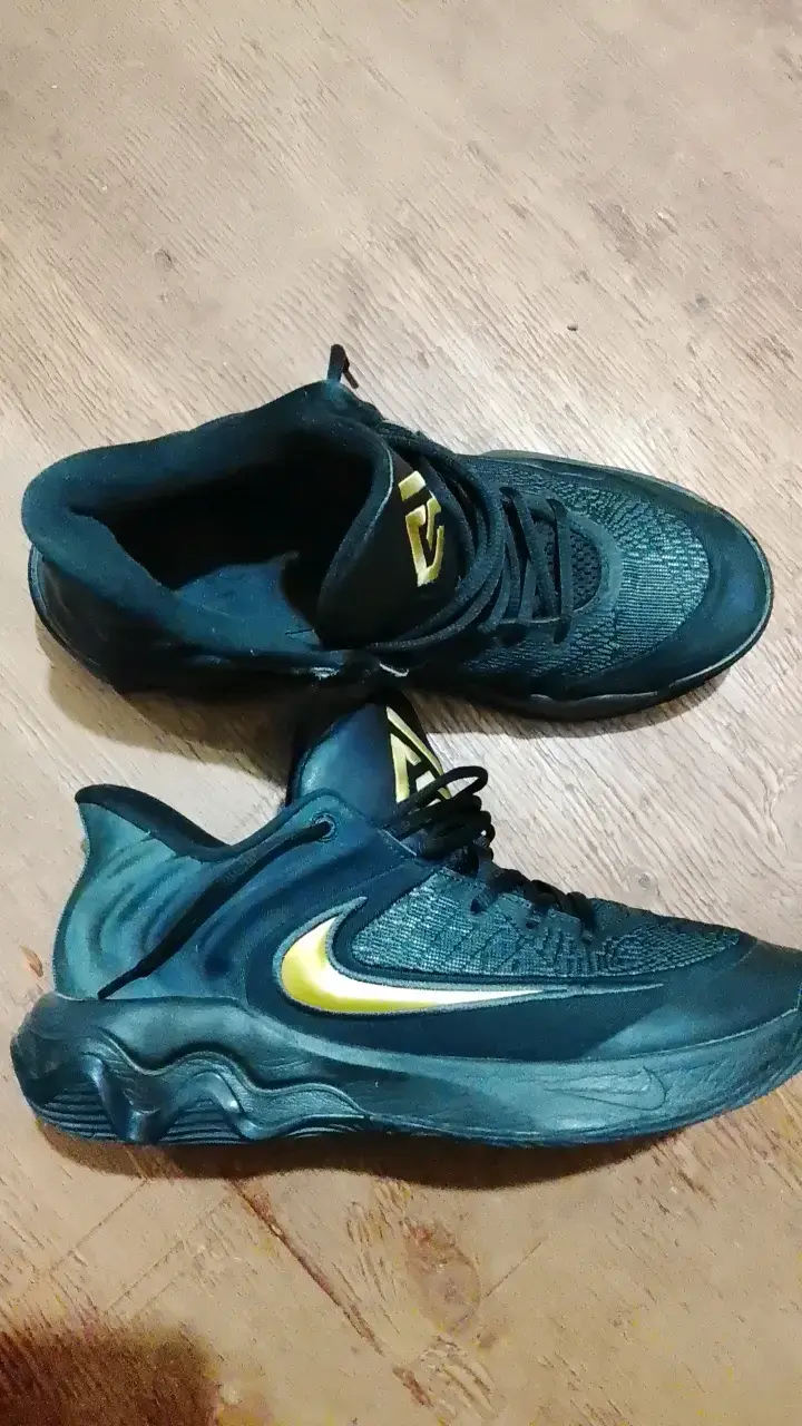Zapatillas giannis inmortality 4 - 1
