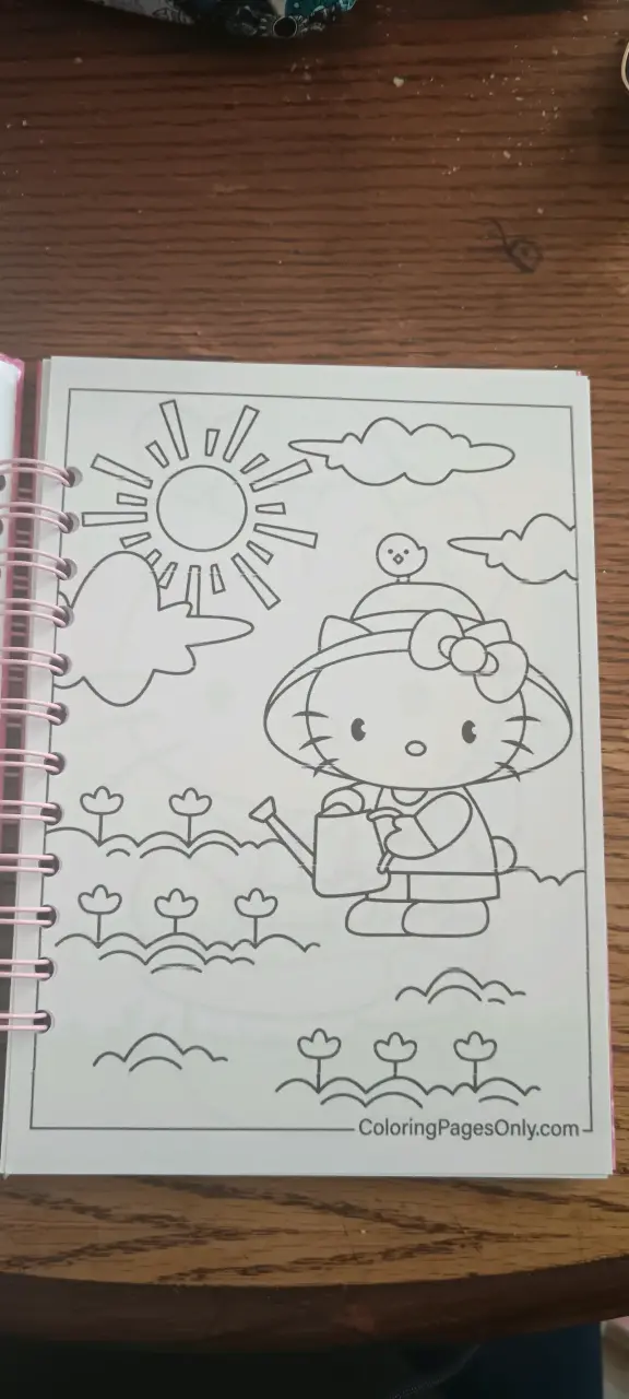 Cuaderno espiral con diseño hello kitty para color - 2