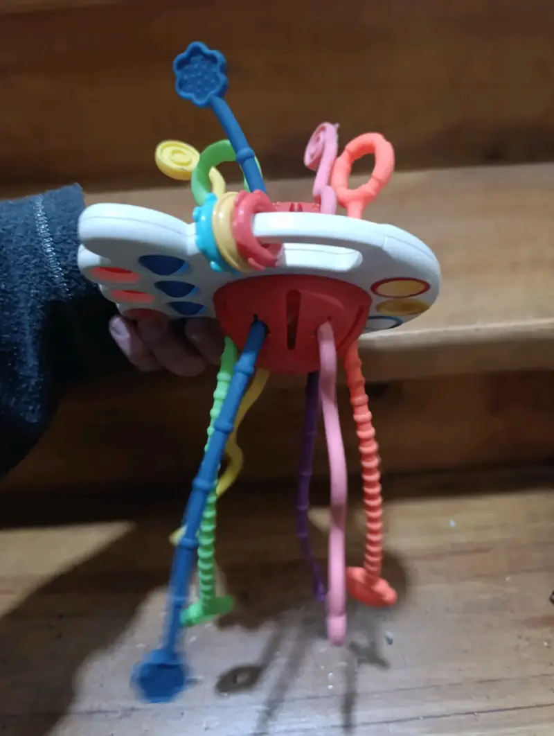 Juguete sensorial para bebés multicolor - 1