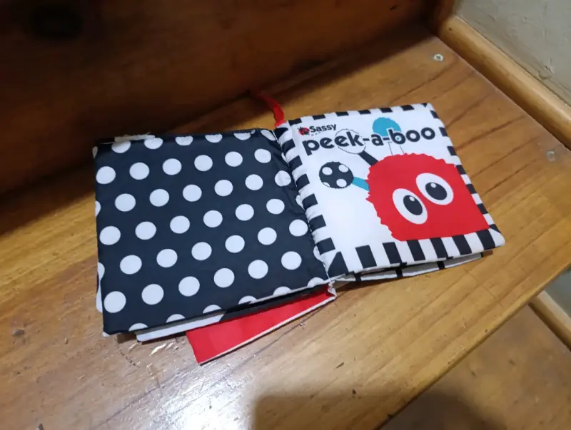 Libro de tela para bebé Sassy Peek-a-boo - 1