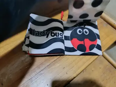 Libro de tela para bebé Sassy Peek-a-boo - miniatura 2