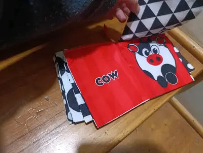 Libro de tela para bebé Sassy Peek-a-boo - miniatura 4