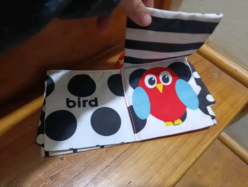 Libro de tela para bebé Sassy Peek-a-boo - 6