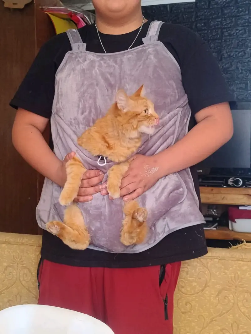 Delantal para gatos Tasbel cómodo y seguro - 2