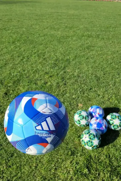 Balón de fútbol Adidas Champions League - miniatura 2
