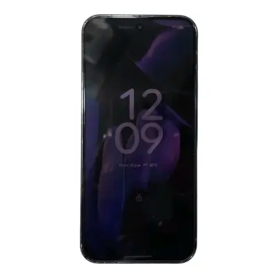 Pixel 9 Pro XL 128 GB - miniatura 2