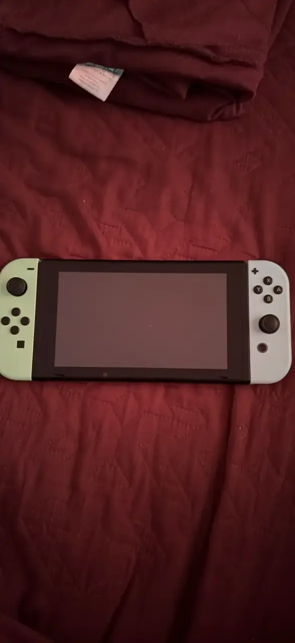 Nintendo switch
