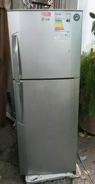 Refrigerador LG de dos puertas en buen estado - miniatura 1