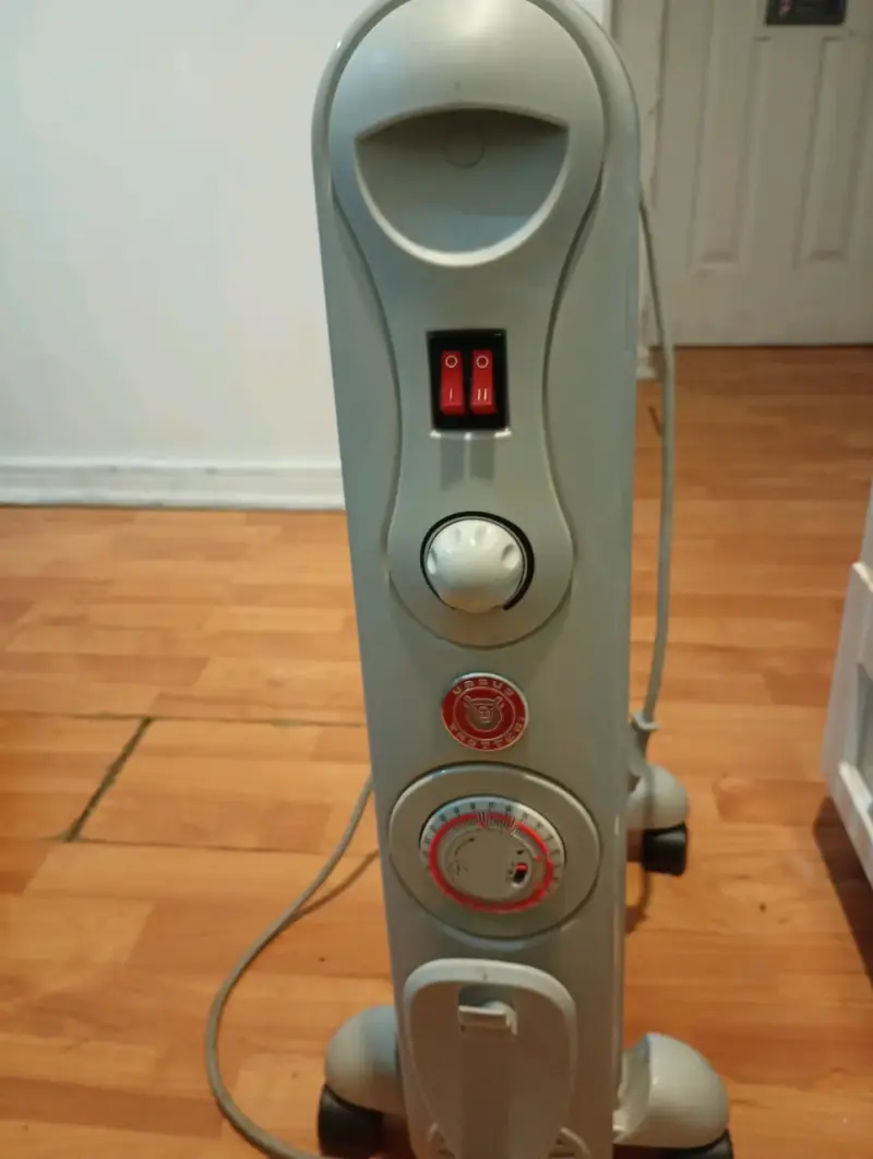 Calefactor eléctrico de aceite con termostato - 1