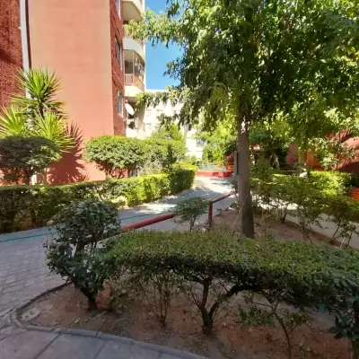 Departamento - miniatura 3