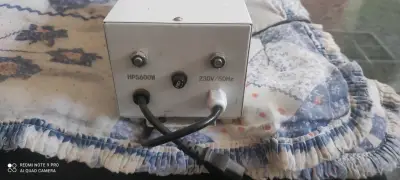 Indoor cultivo - miniatura 1