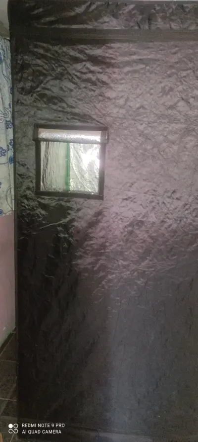 Indoor cultivo - miniatura 6