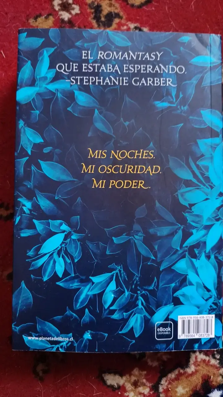 'Un Laberinto de Traiciones Oscuras' de Lexi - 2