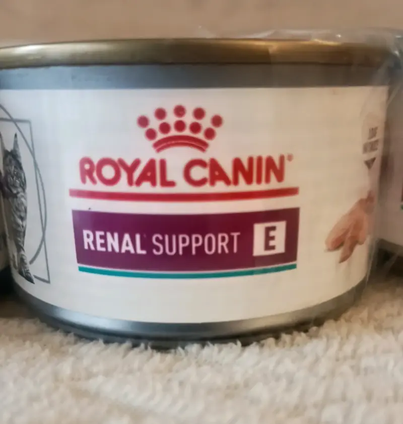 Pack de comida húmeda para gatos Royal Canin - 4
