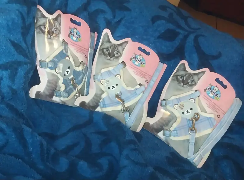 Arnés para gatos con diseño de oso