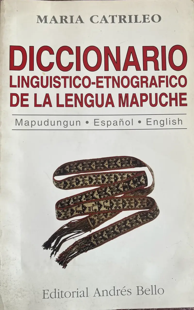 Diccionario lingüístico-etnográfico de la lengua mapuche - 1