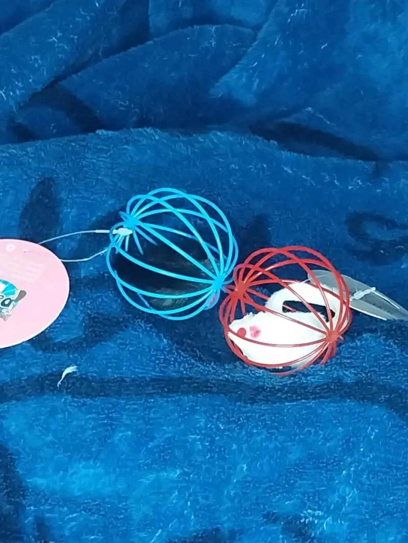 Juguetes de ratón para gatos