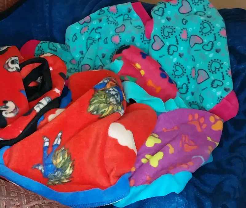 Capas de polar para mascotas