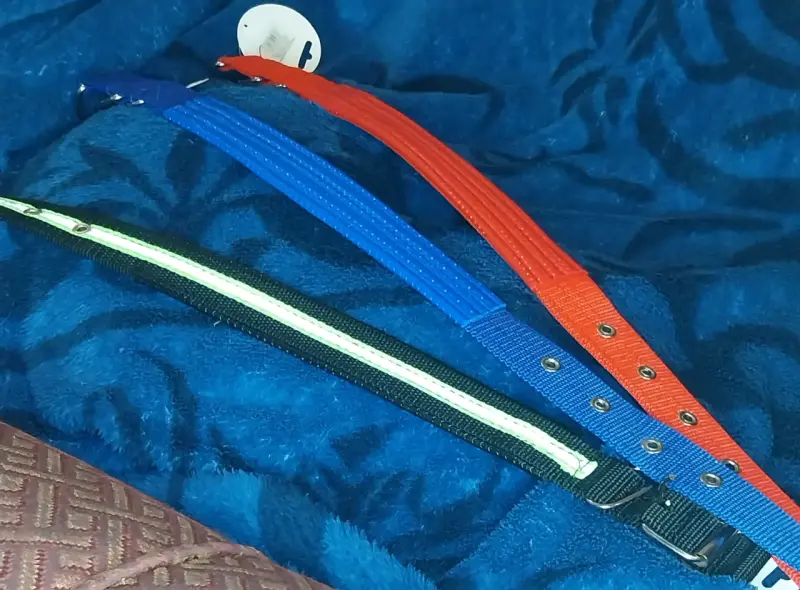 Collares de lona para mascotas