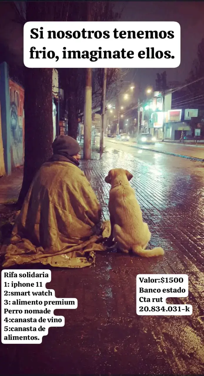 RIFA SOLIDARIA $1500 - Ayuda☔️🐕🦺 - 1
