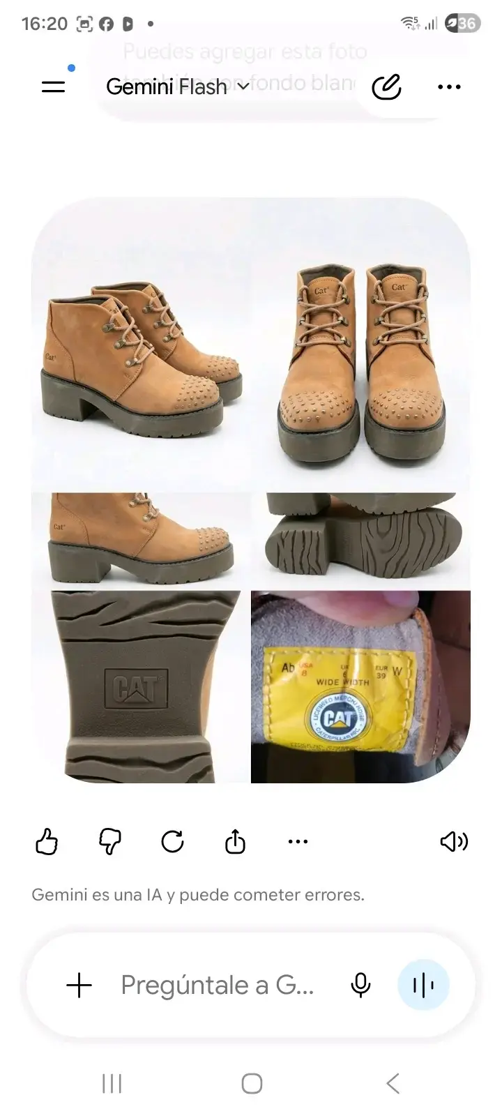 Botines de cuero Cat con tachas - 3