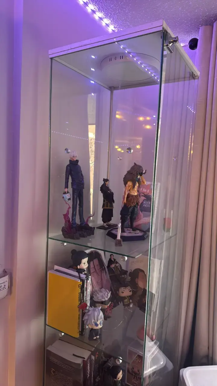Vitrina de vidrio para coleccionables - 2