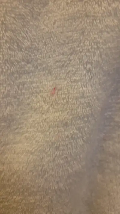 Pijama difraz unicornio niña - miniatura 3