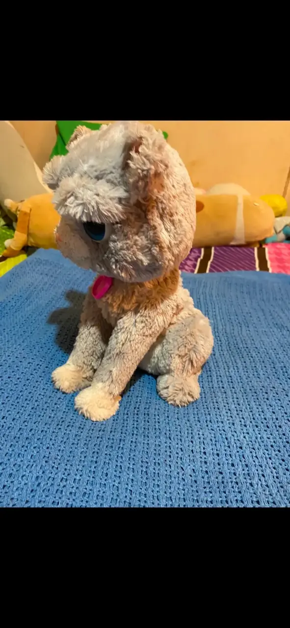 Peluche de gato gris con ojos grandes - 2