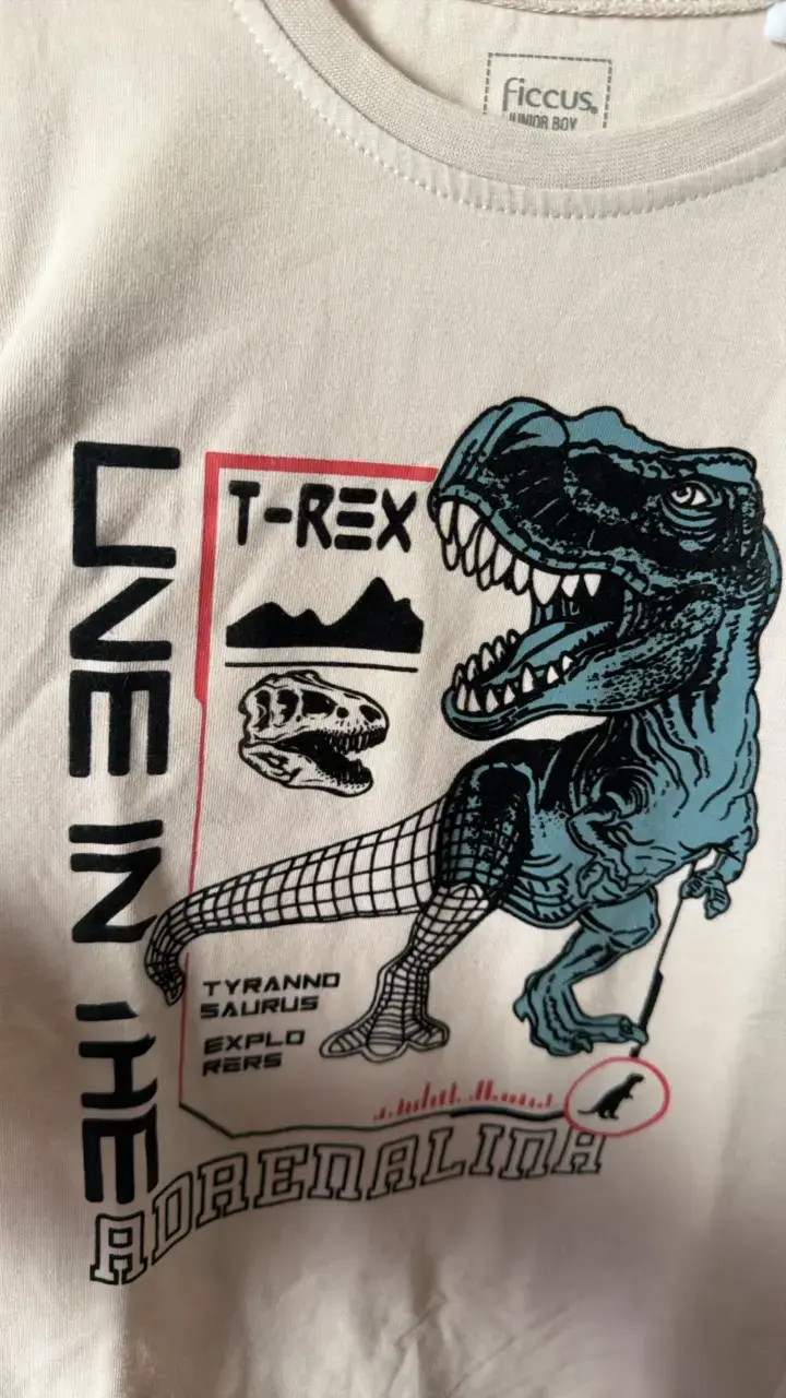 Polera manga larga niño T-Rex Ficcus - 3