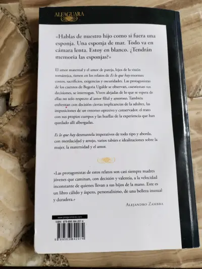 Libro 'Es lo que hay' de Begoña Ugalde - miniatura 2