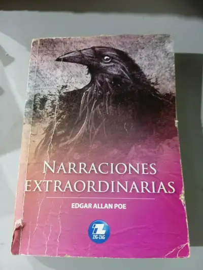 Narraciones Extraordinarias de Edgar Allan Po - miniatura 1