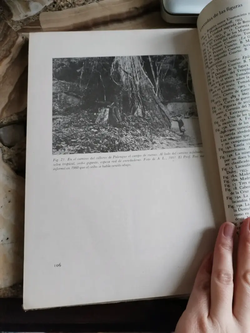 Libro 'Los Muros Pintados de Bonampak' de Alejandro Lipschütz - 3