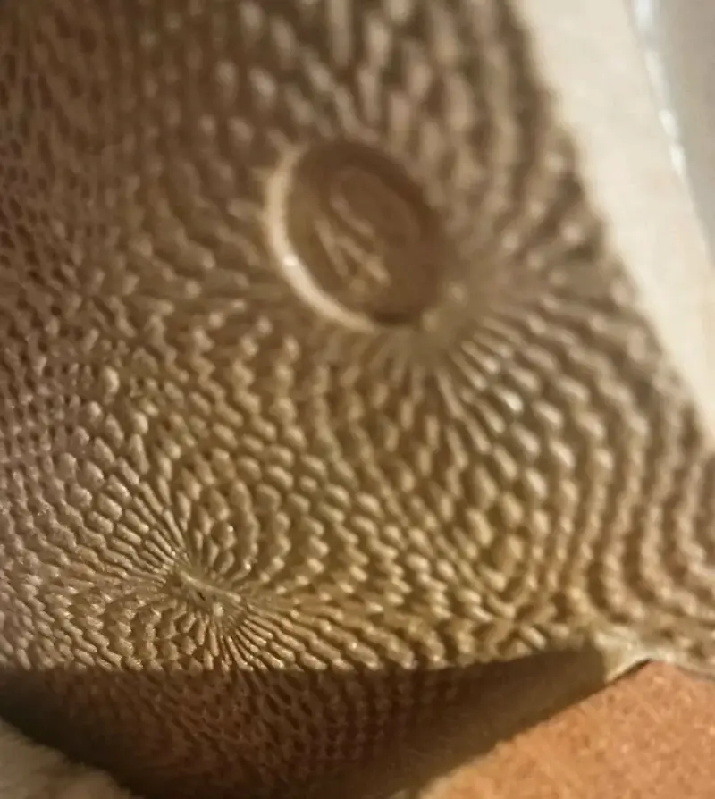 Botín cuero Criss Araos Talla 40 - 2