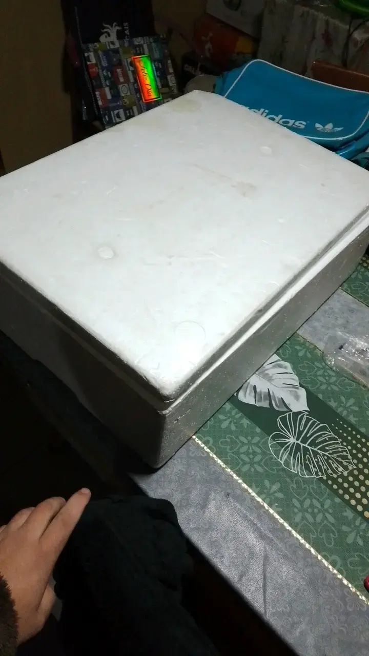 Caja de plumavit para almacenamiento térmico - 2