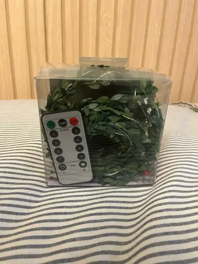 Guirnalda de luces LED con control remoto - miniatura 1