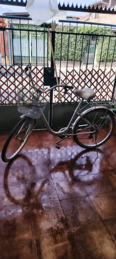 Bicicleta urbana con canasto en buen estado - miniatura 1
