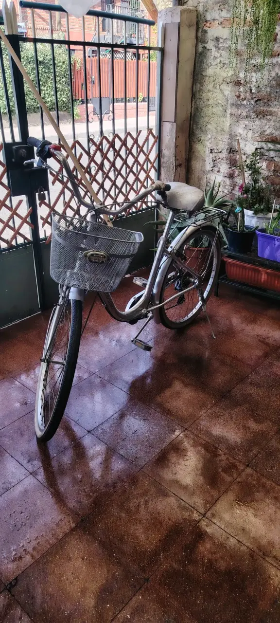 Bicicleta urbana con canasto en buen estado - 2