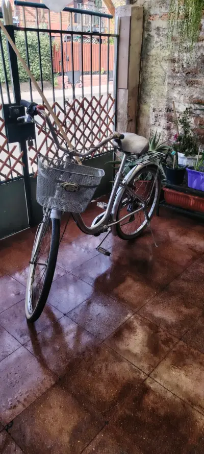 Bicicleta urbana con canasto en buen estado - miniatura 2