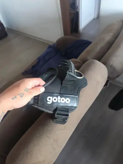 Arnés para perro Gotoo ajustable y resistente - miniatura 1
