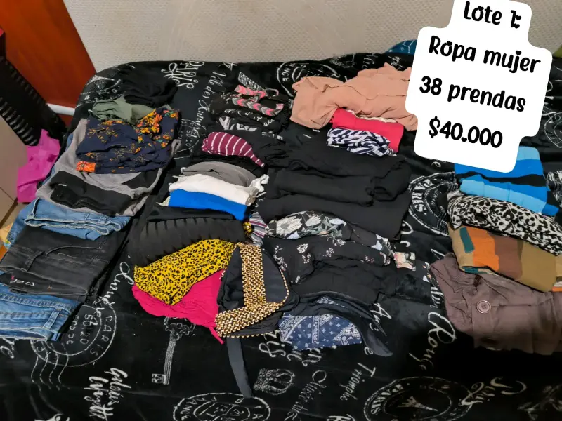 Lote de ropa mujer variada 38 prendas - 1